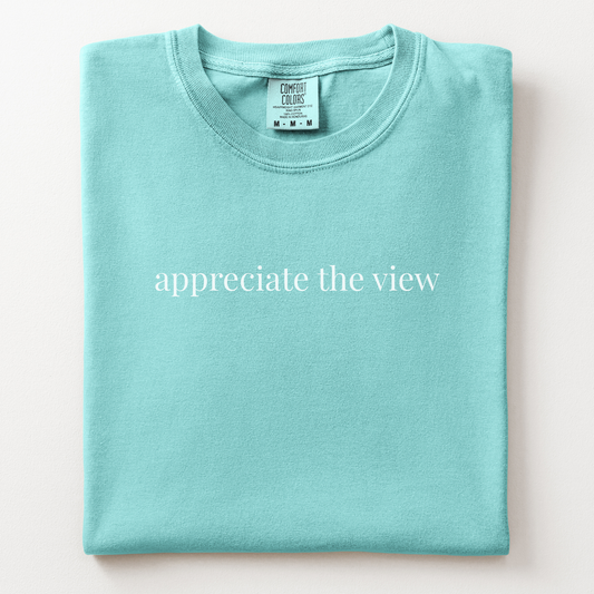 appreciate the view comfort tee