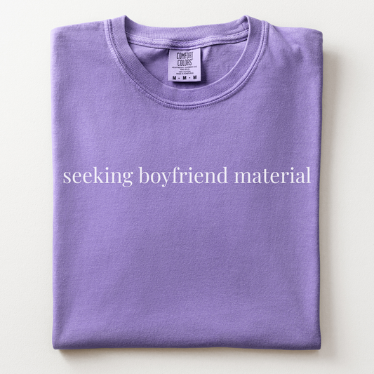 seeking boyfriend material comfort tee