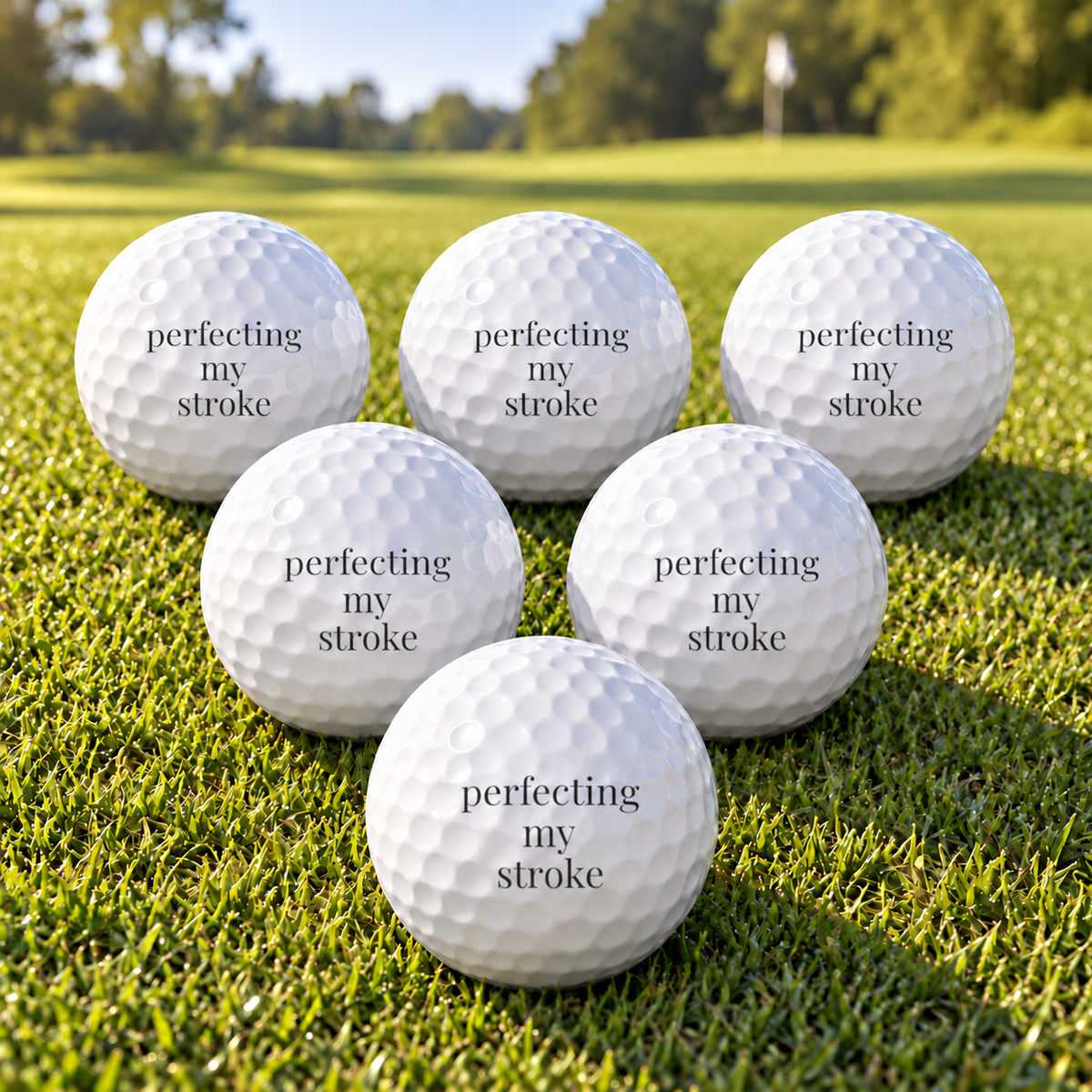 perfecting my stroke golf balls - set of 6