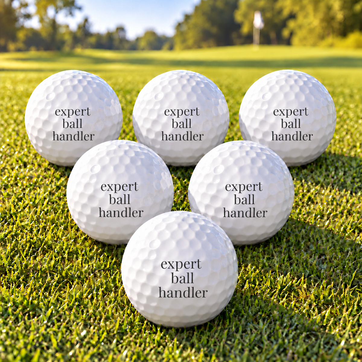 expert ball handler golf balls - set of 6
